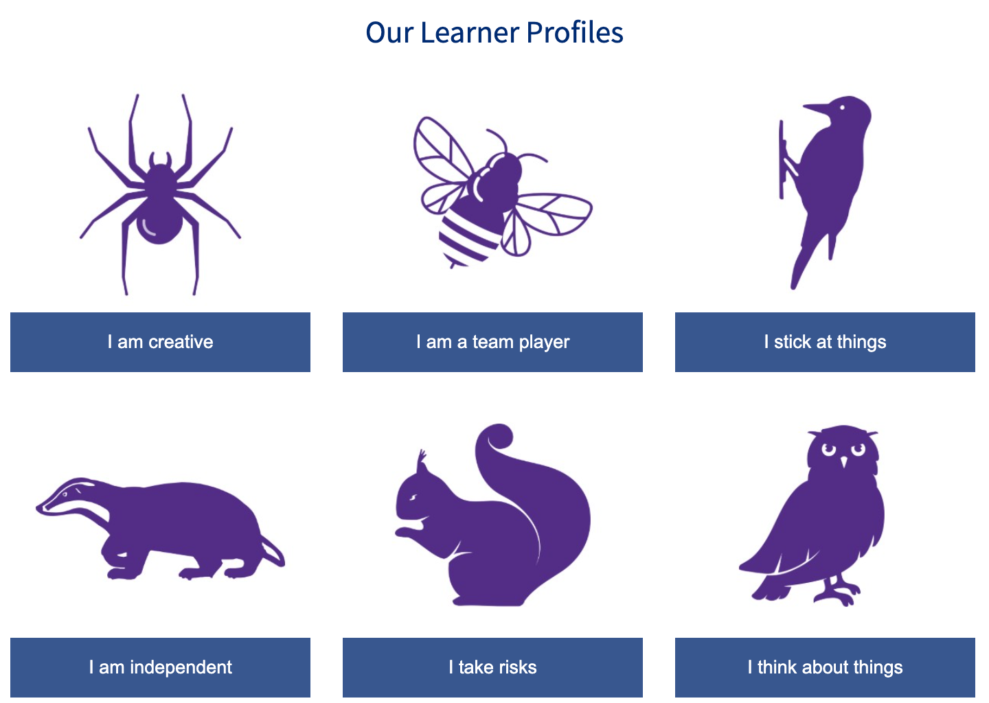 Learner Profiles